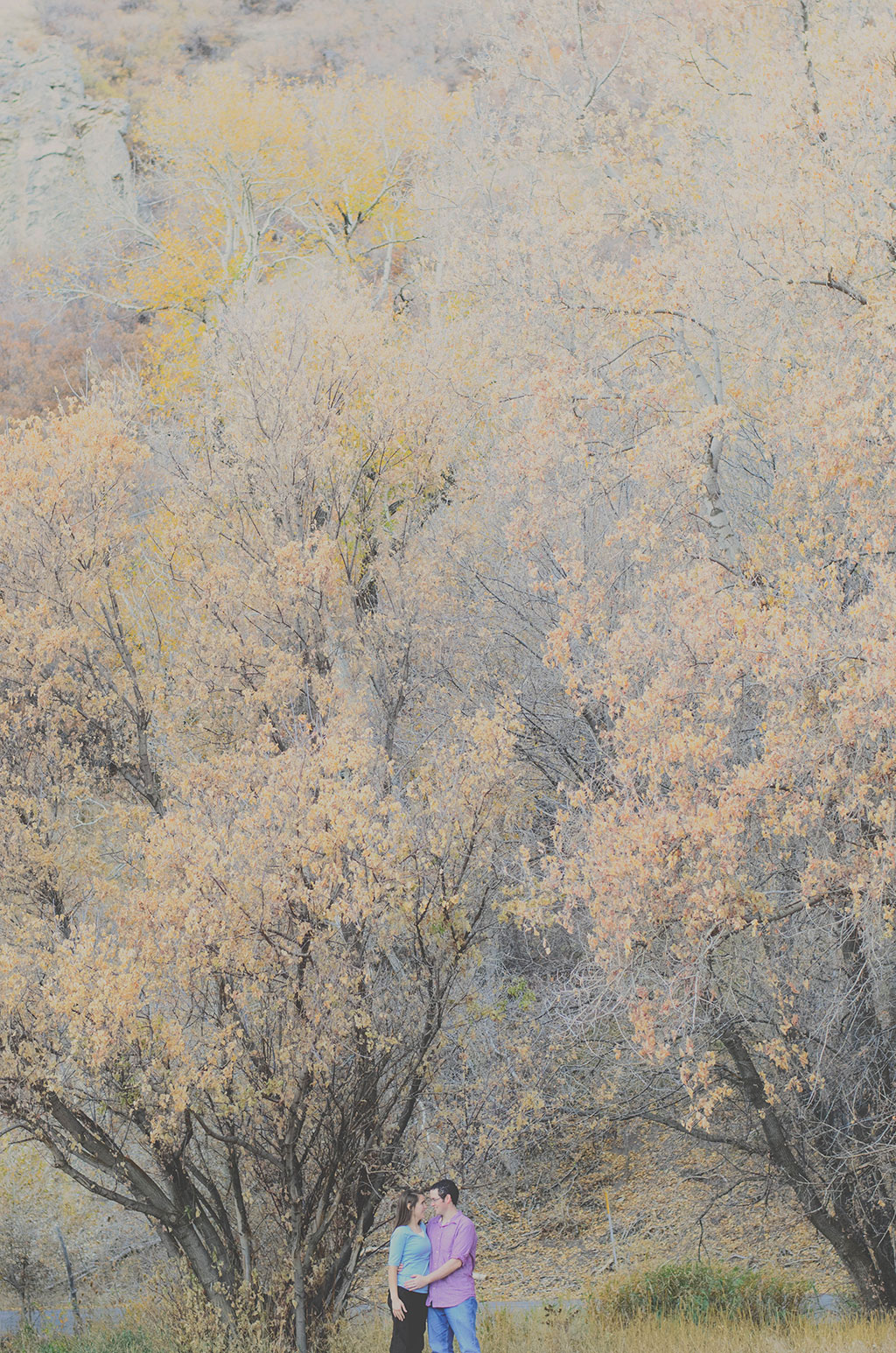 provo canyon family photos