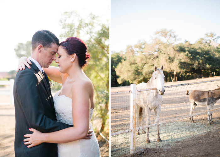 ranch wedding photography