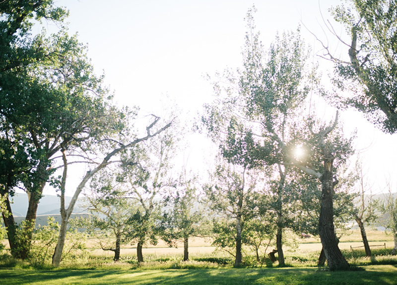 Boulder Colorado Wedding41