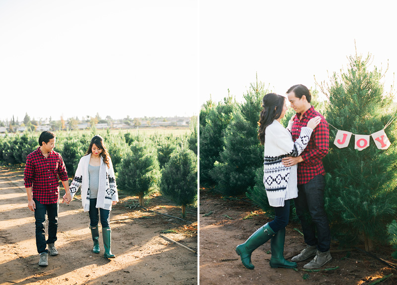 Christmas Tree Farm Holiday Picture