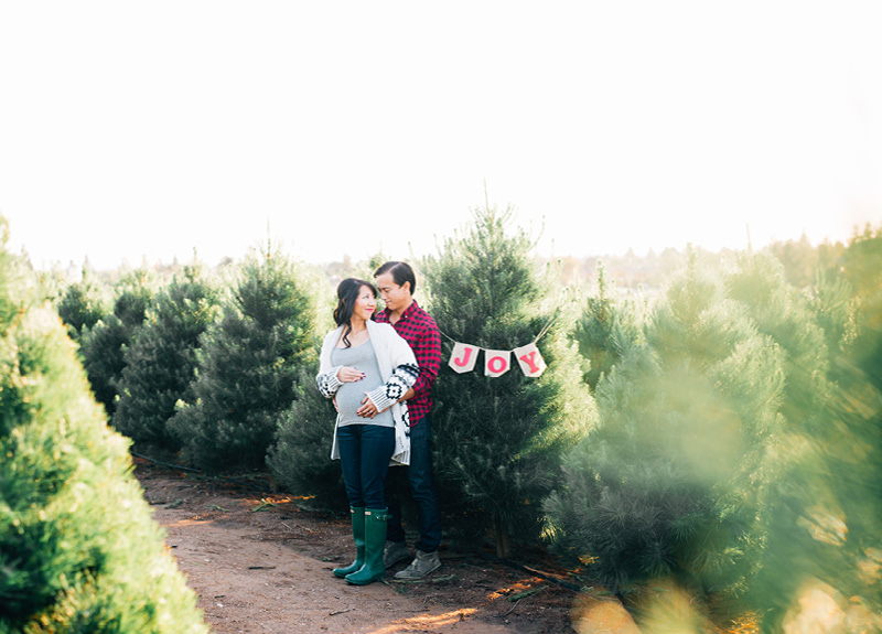 Christmas Tree Farm Holiday Picture3