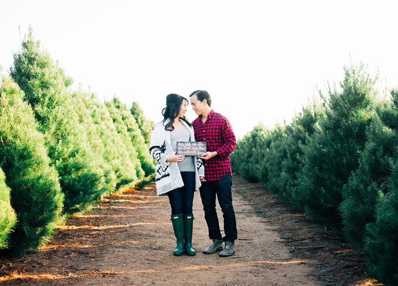 Christmas Tree Farm Holiday Picture5