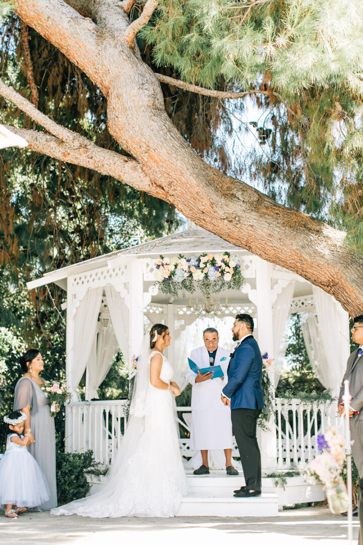 Green Gables Estate Wedding Jenna Bechtholt Photography