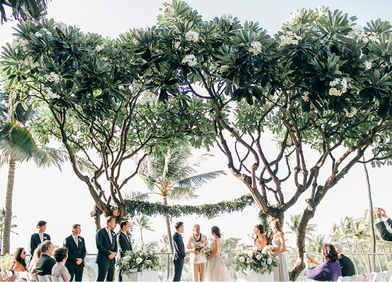 Maui Tropical Wedding4