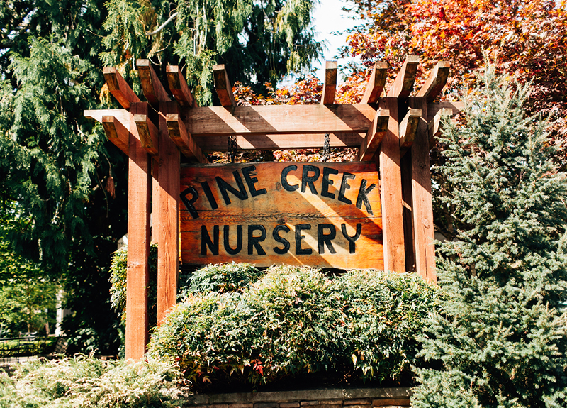 Pine Creek Nursery Wedding3