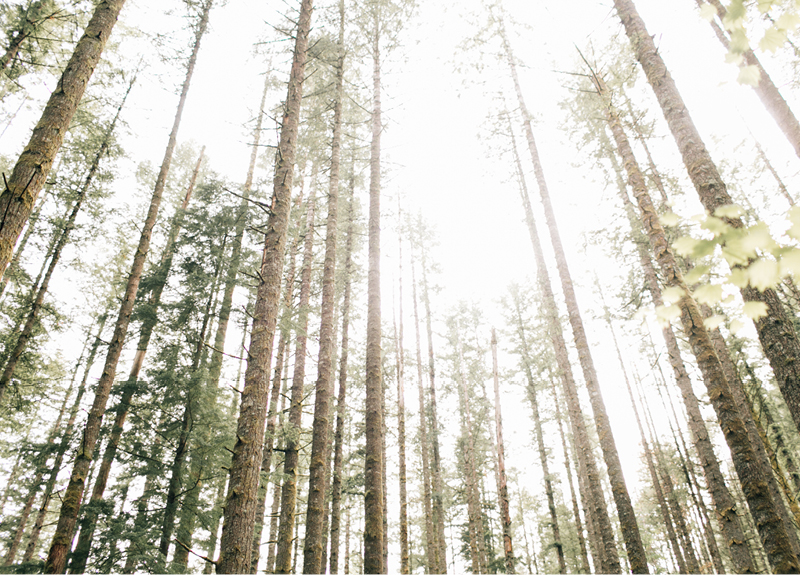 Rattlesnake Ridge Engagement11