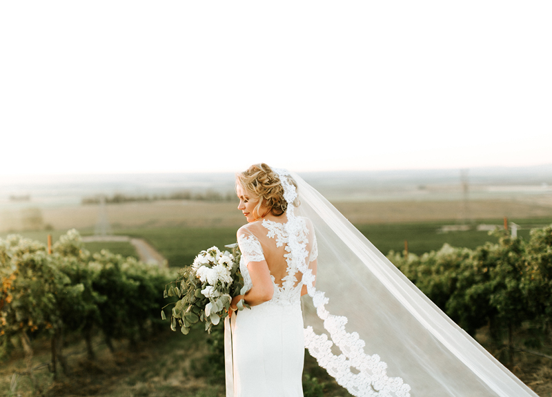 Eastern Washington Vineyard Wedding10