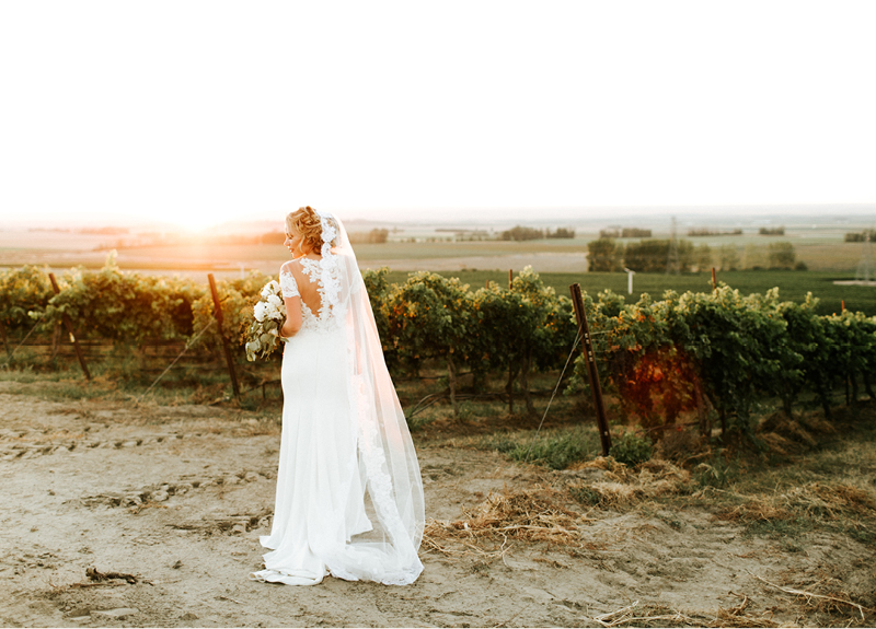 Eastern Washington Vineyard Wedding17