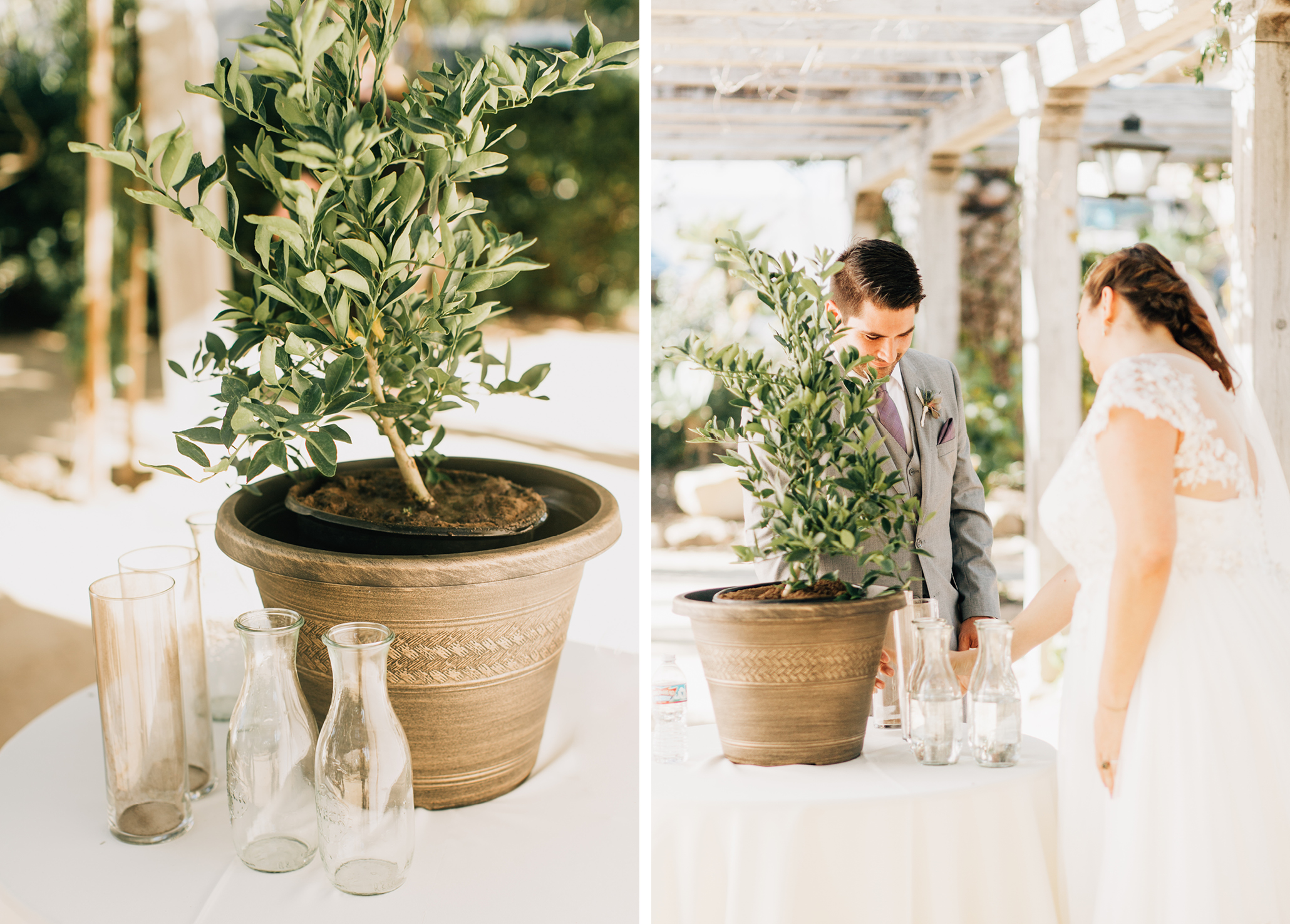 santa-barbara-historical-museum-wedding-ceremony17