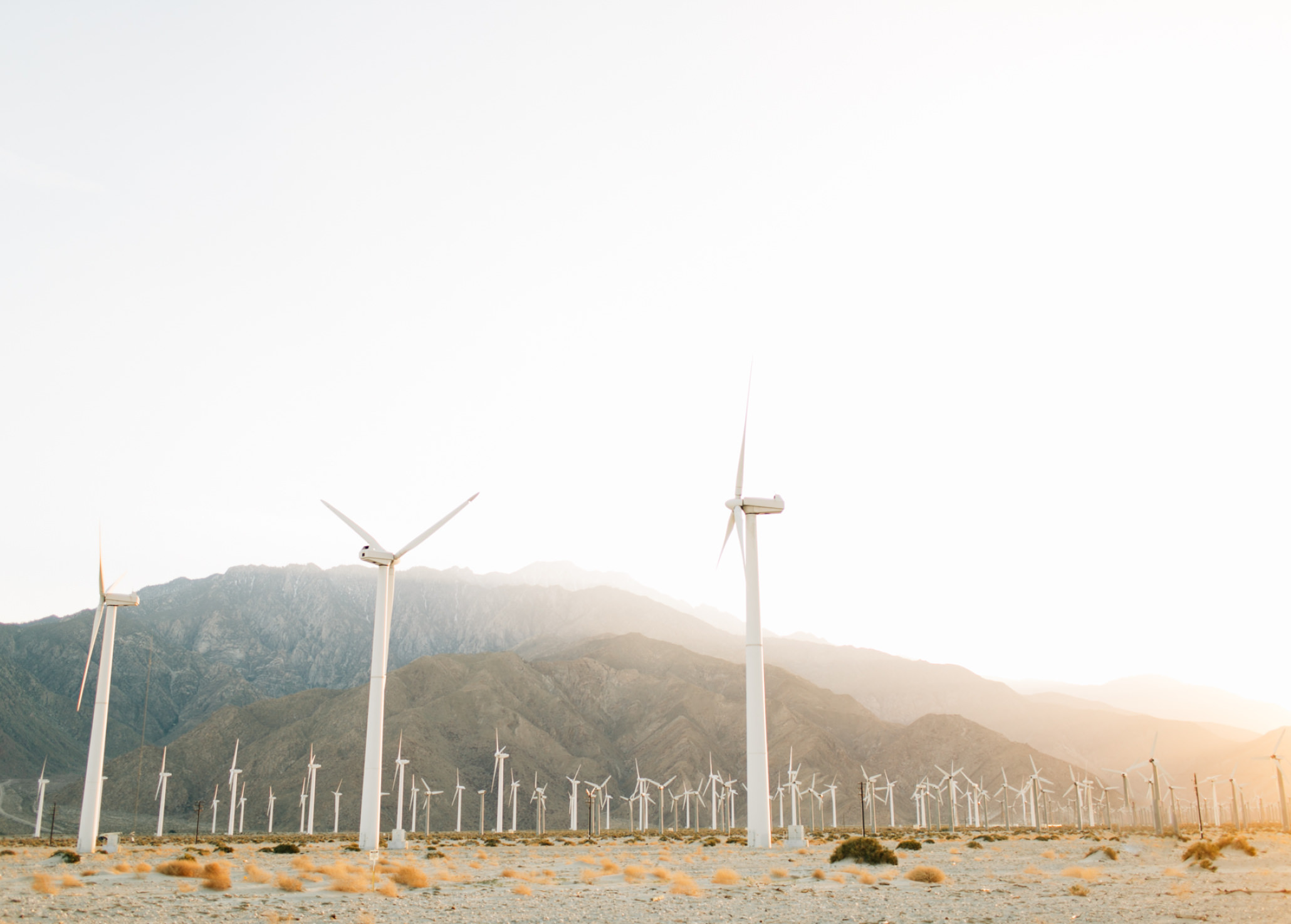 Joshua Tree Photographer20