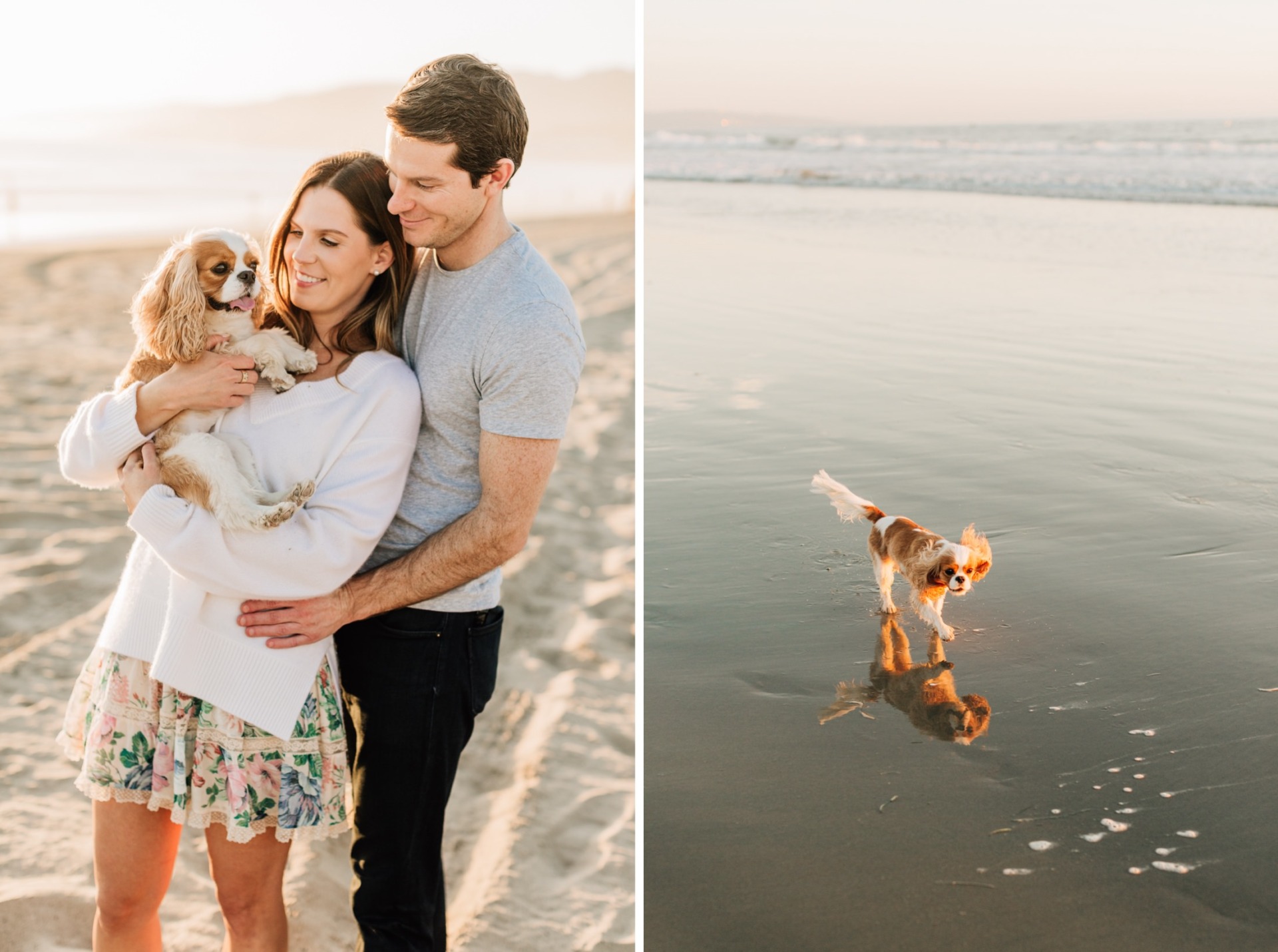 Tips for Including Your Dog in Your Engagement Session