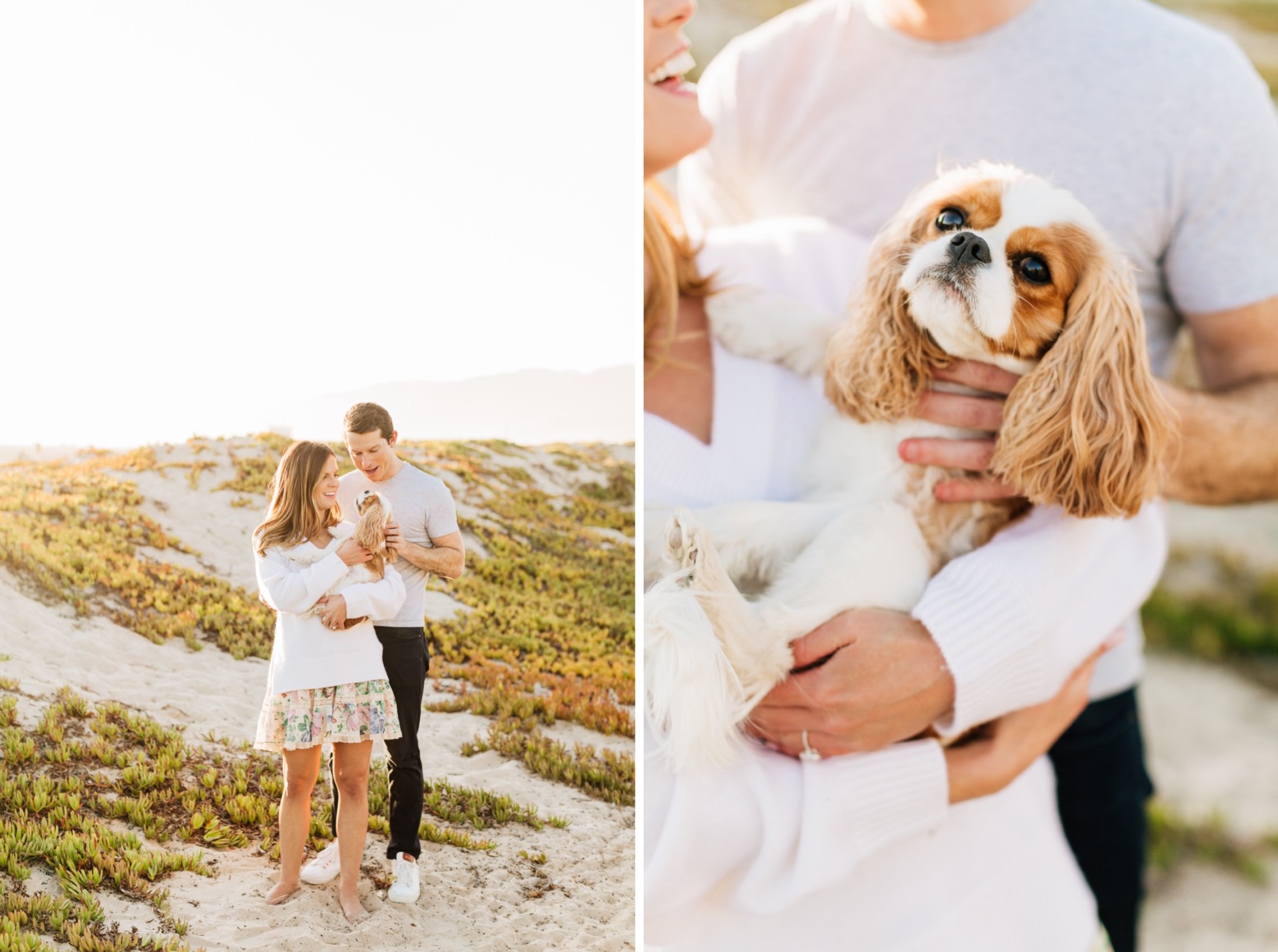 Tips for Including Your Dog in Your Engagement Session