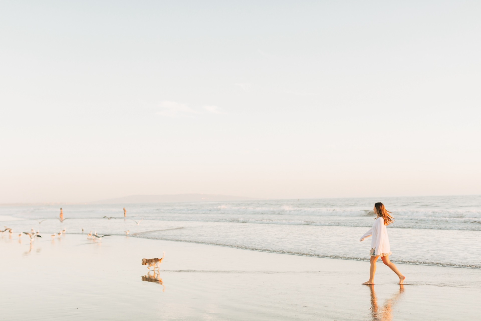 Tips for Including Your Dog in Your Engagement Session