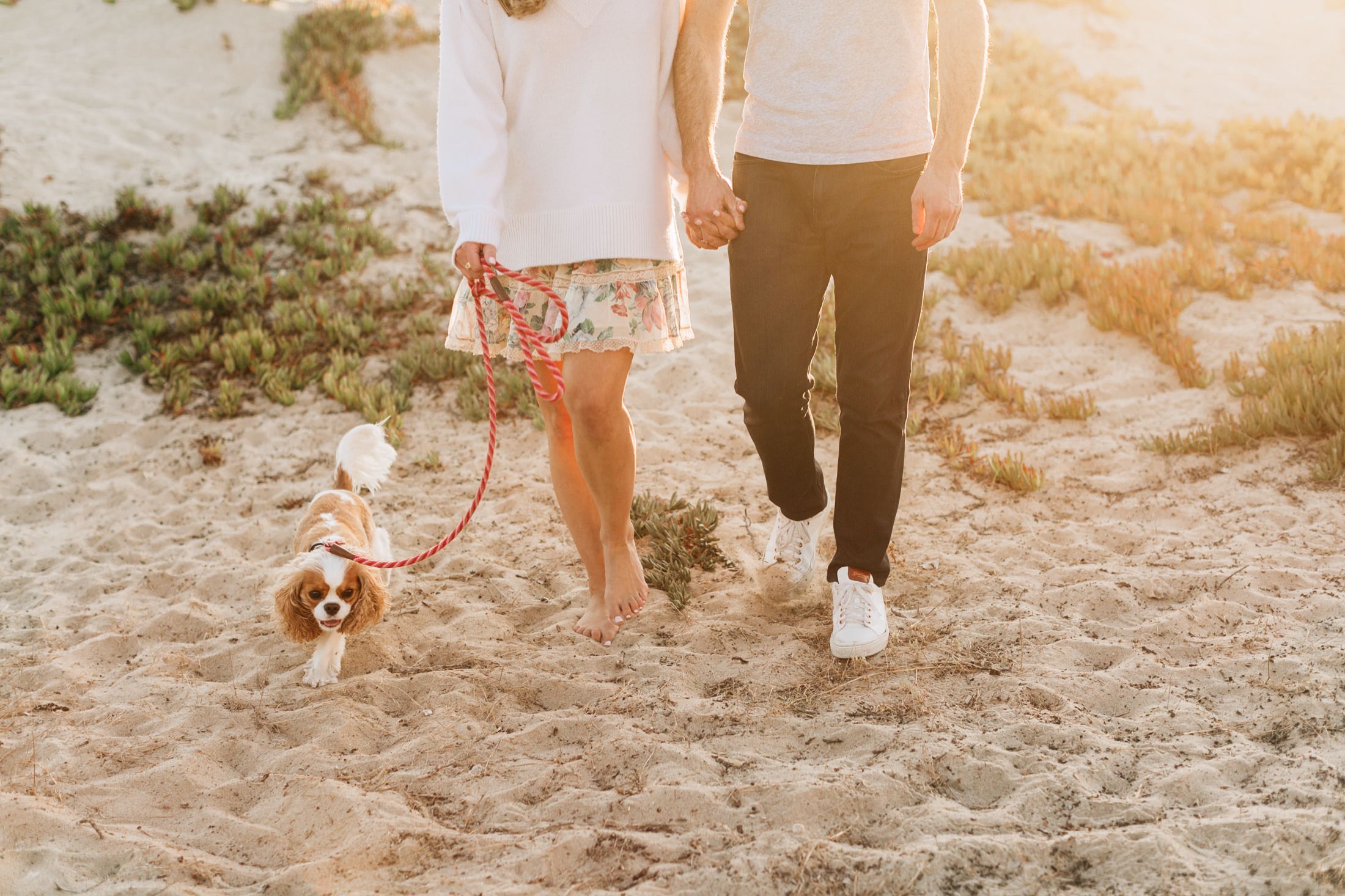 Tips for Including Your Dog in Your Engagement Session