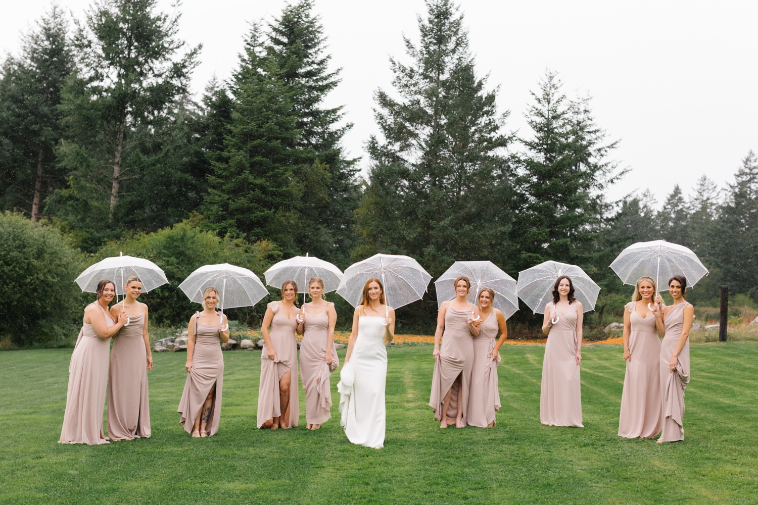 Saltwater Farm at Friday Harbor Wedding, San Juan Island Wedding