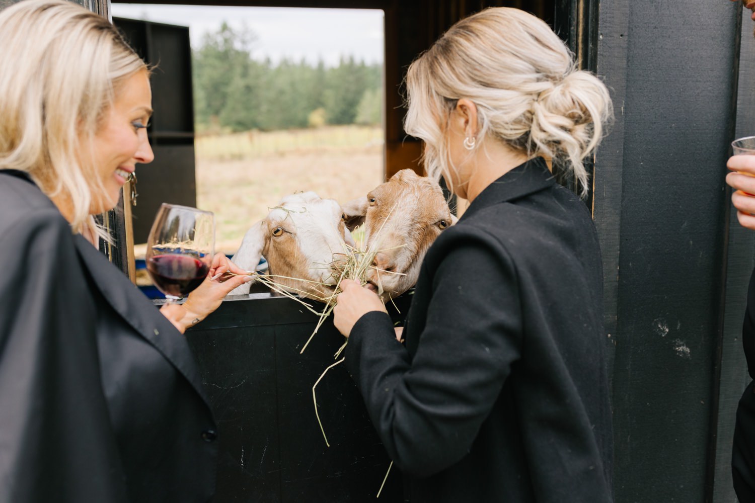 Saltwater Farm at Friday Harbor Wedding, San Juan Island Wedding