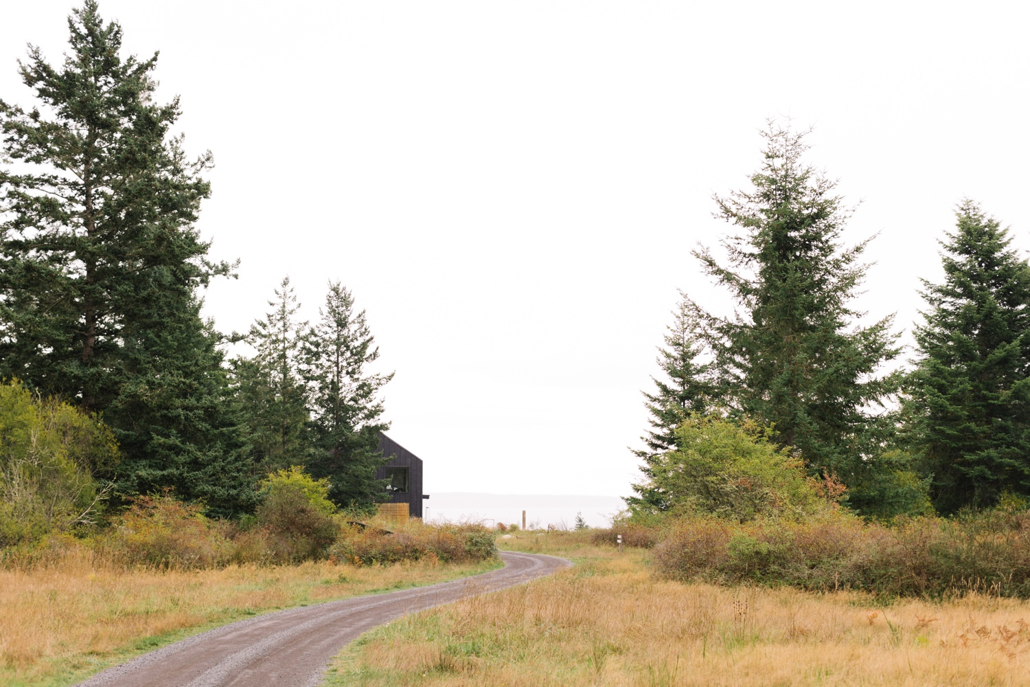 Saltwater Farm at Friday Harbor Wedding, San Juan Island Wedding