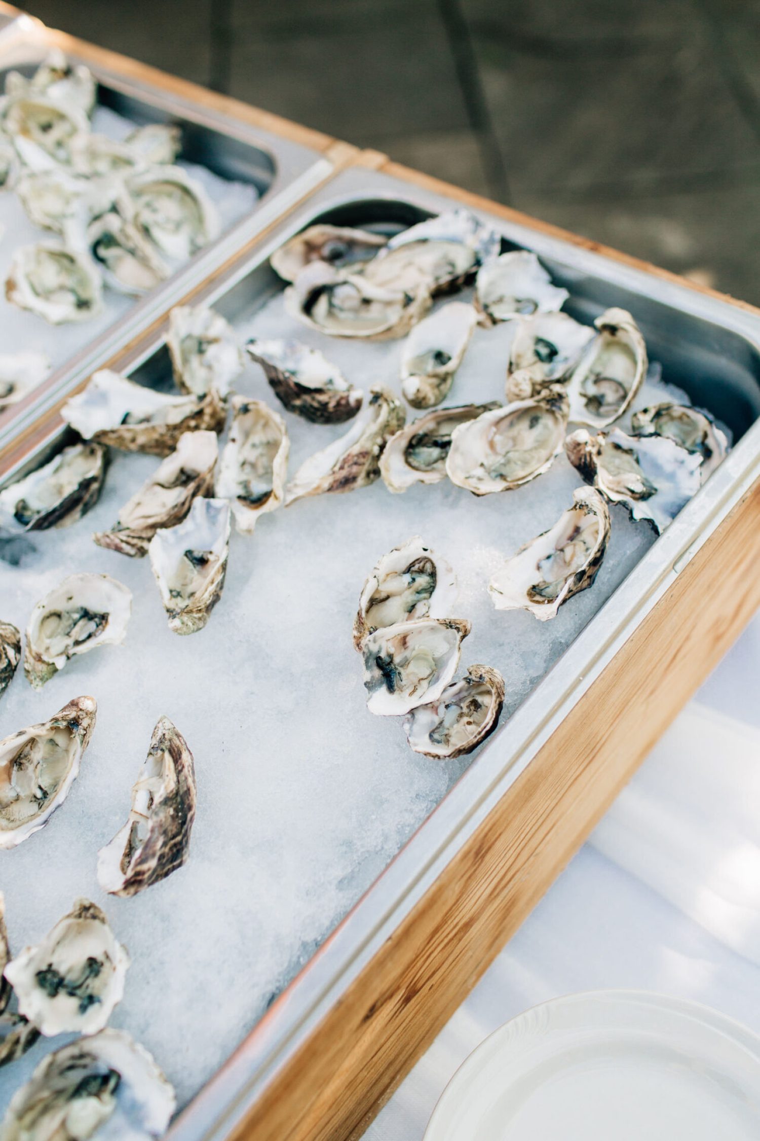 Fresh oysters served at cocktail hour at Seattle wedding in the summer, photographed by a los angeles wedding photographer