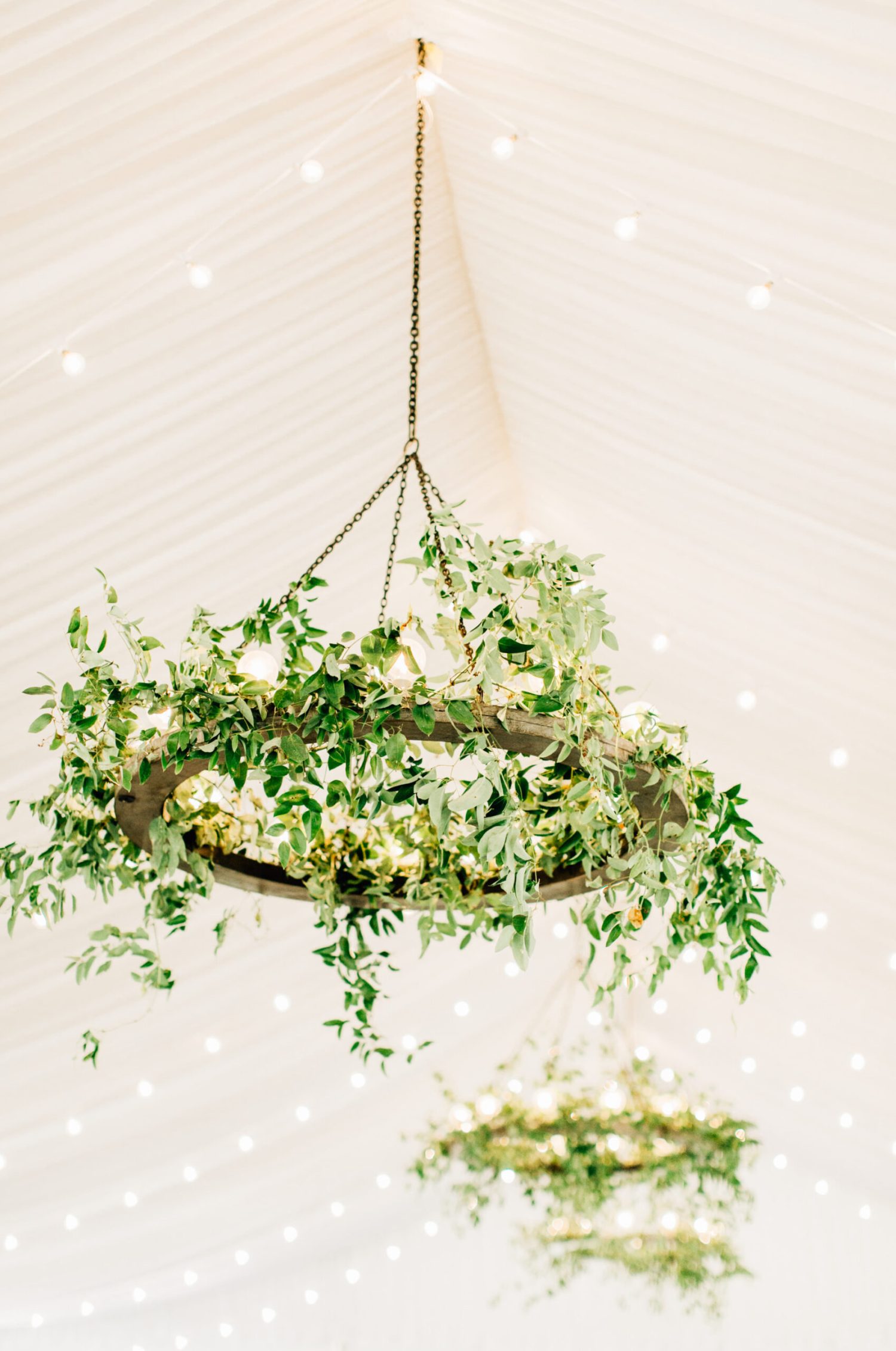 Green garland draping on chandeliers in a white tent in Sun Valley Idaho, photographed by a los angeles wedding photographer